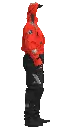 rds we evo_v01_02_L.webp
