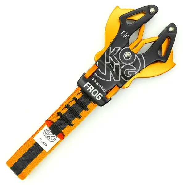 Kong_Frog-02.webp