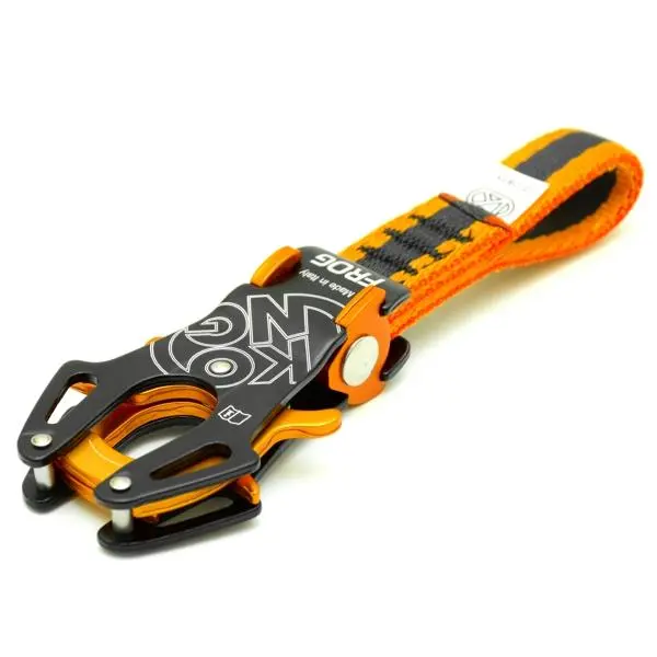 Kong_Frog-03.webp